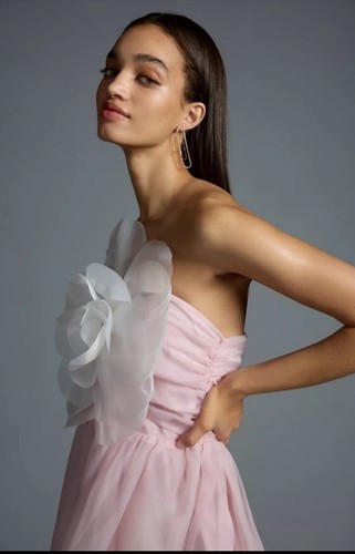 Pre-owned Anthropologie Cynthia Rowley Organza Flower Dress Size 4 $475.00 In Pink