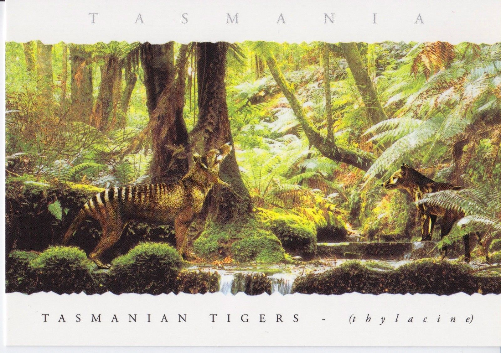 Countries Collectable Topographical Postcards