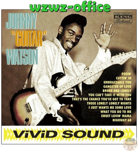 johnny A. DVD ギター教則 Johnny A.: Taste * Tone * Space: Guitar DVD: Johnny A