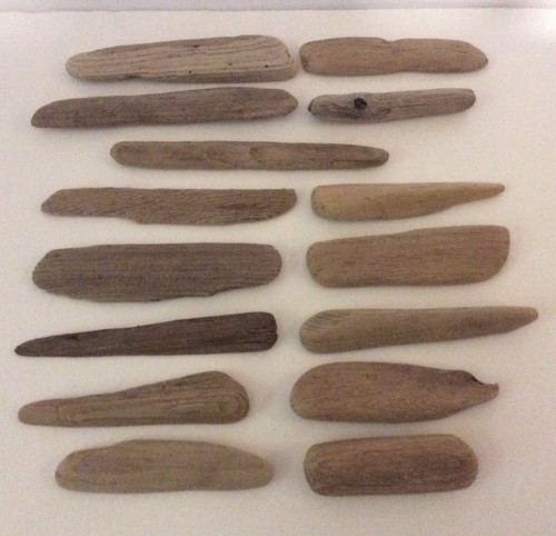 Surf Tumbled Great Lakes Driftwood Cleaned Terrariums Beach Art Craft 15pc 4”-7”