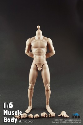 COOMODEL COO 16 Scale 27cm Male Muscle Action Figure Body IN STOCK B34004