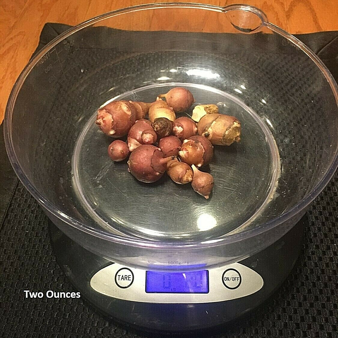 Red Fuseau Organic Sunchoke / Jerusalem Artichoke - Helianthus tuberosus