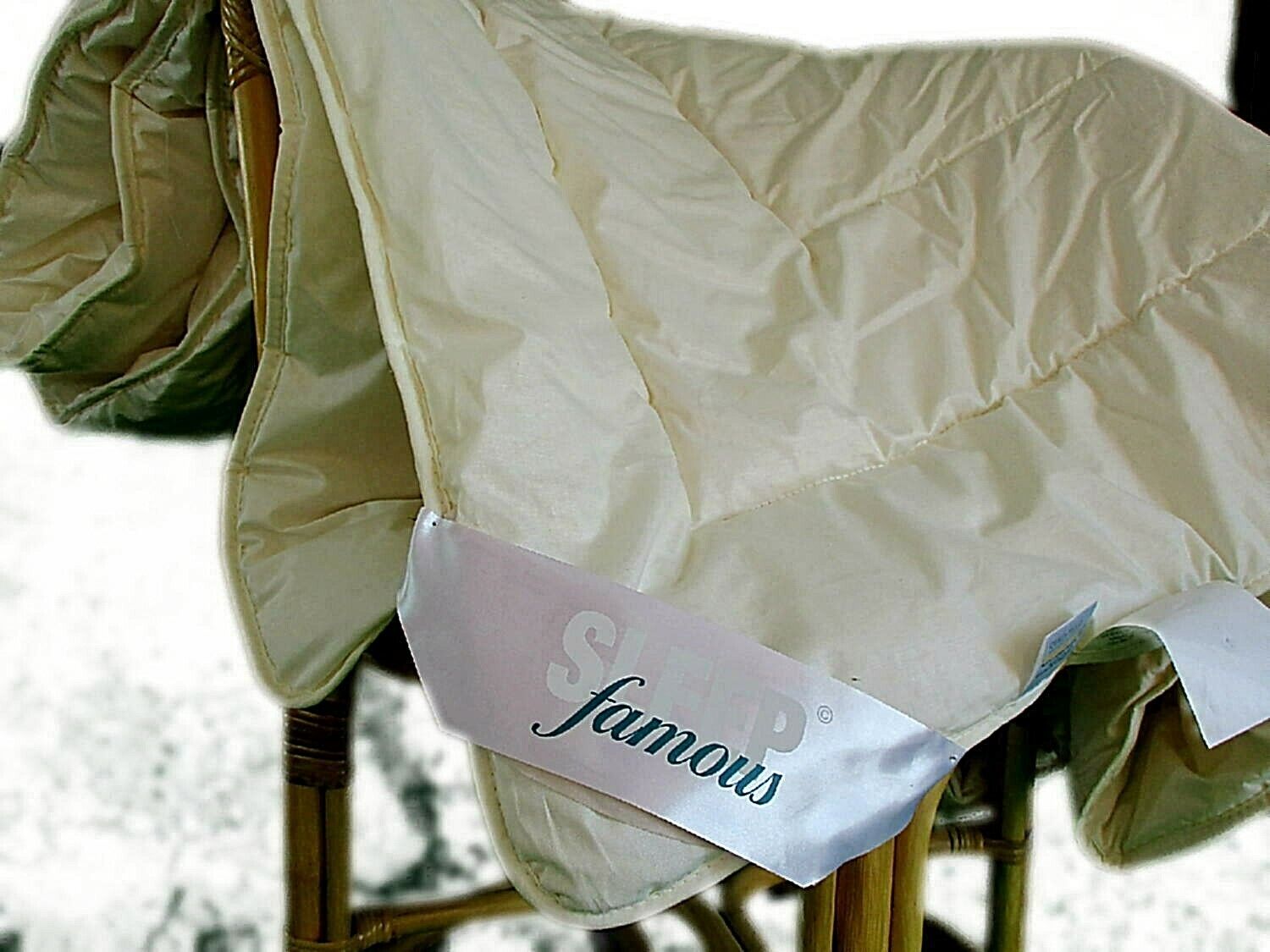 Famous Sleep Kamelhaardecke Sommer leicht Bettdecke Bezug Baumwolle Natur pur