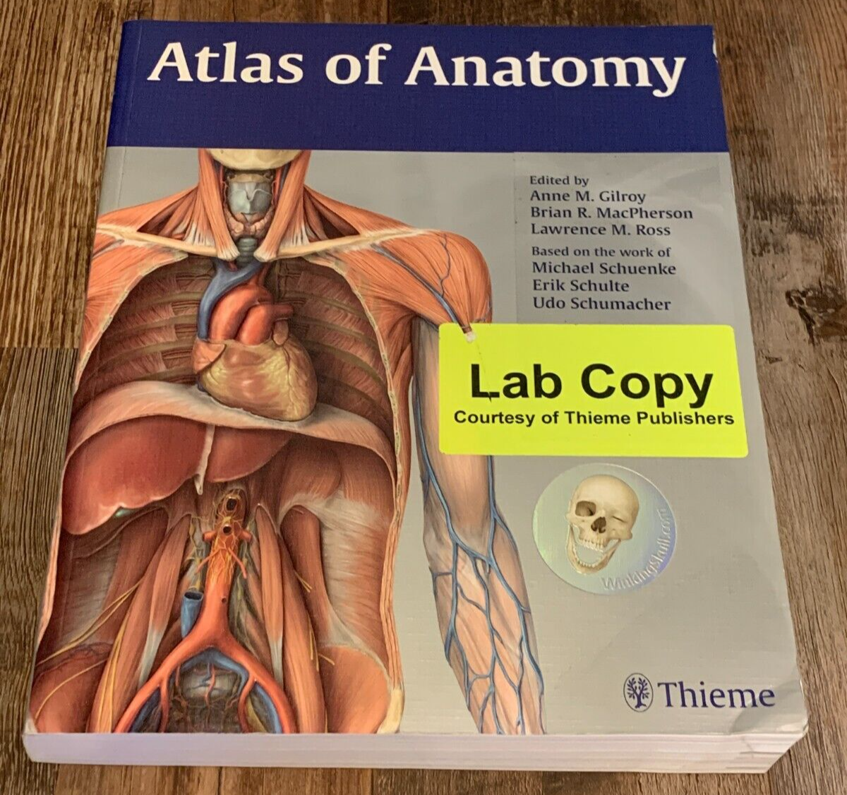 健康・医学 THIEME-Atlas-of-Anatomy Atlas of Anatomy: 9781626232525: Medicine & Health Science