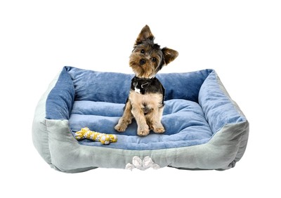 With Dog Paw Printing Toys,...