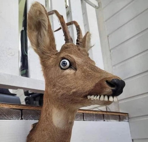 Proel ADRK1AZ 1 Space Universal Rack Shelf | eBay