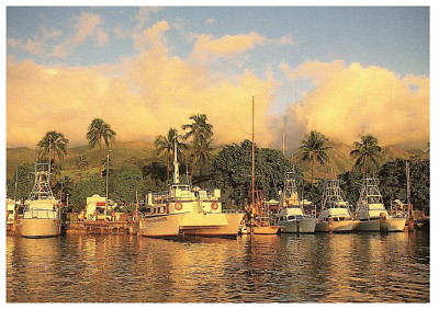 Lahaina Hafen Yachten Boote Palm Tres Lahaina Maui Postkarte 1980