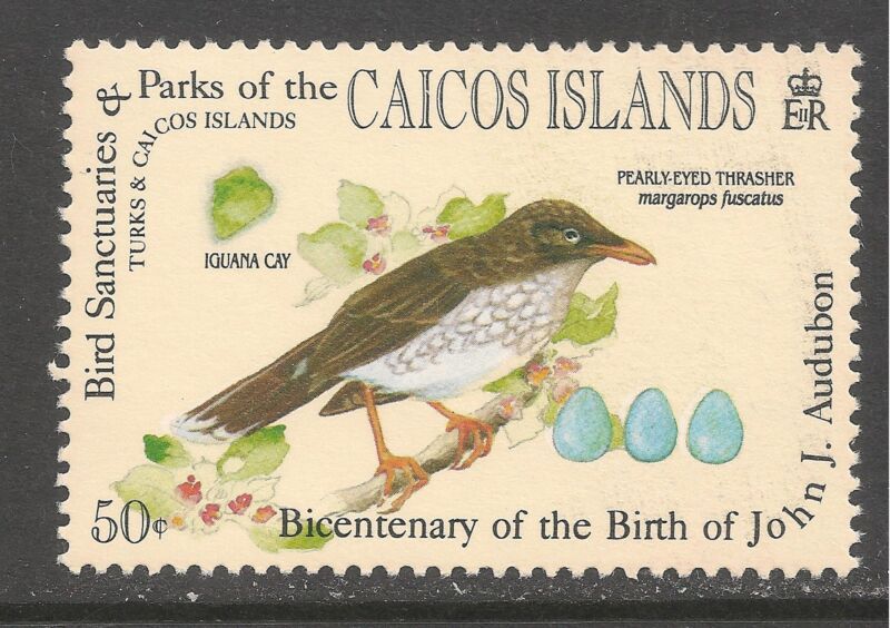 Caicos #62 (C7) VF MINT NH - 1985 50c Pearly-Eyed Thrasher Bird - Audubon