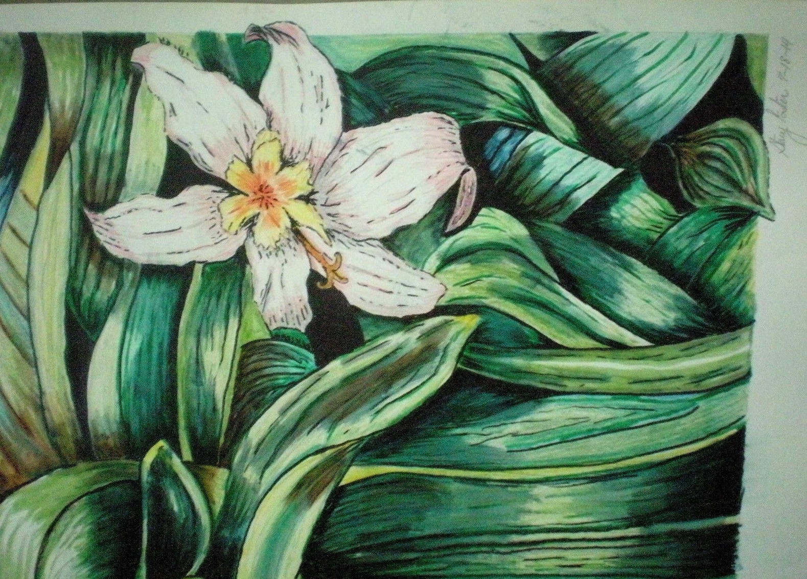 Art Work Original Artist Rendering Plant Foliage Hibiscus Colored Pencil Signed