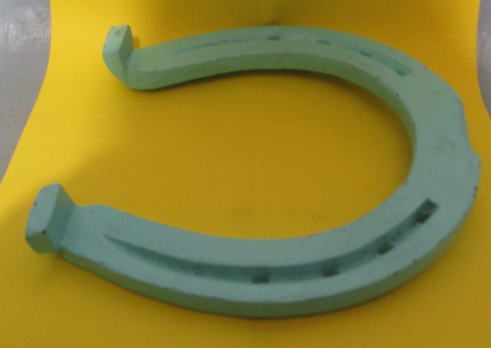 Painted Rustic Metal Iron Blue Mule Shoe Good Luck Charm Horseshoe Cabin Decor