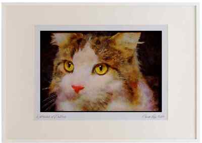 Cats Kittens 336020 Catty Watercolour Picture Frame Ltd Ed A2