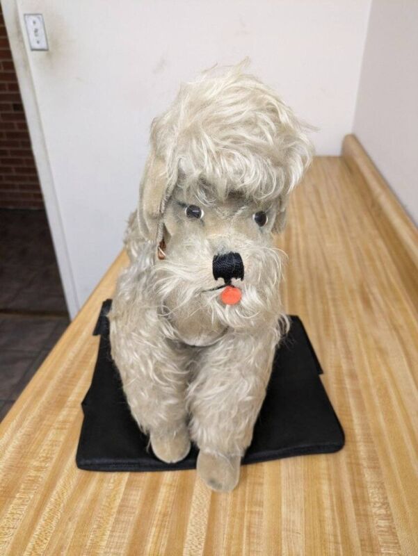 Vtg. large Steiff poodle dog: jointed legs, no tags.