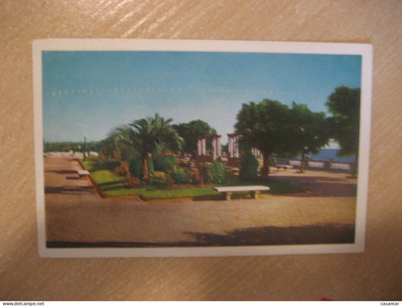 Salto Avenue Costanera 1956 Uruguay Carte Postale