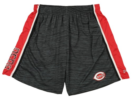 Мужские бейсбольные шорты Zubaz MLB Cincinnati Reds Space Dye в однотонную полоску