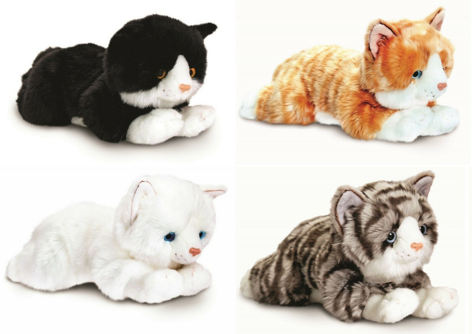 black and white cat teddy