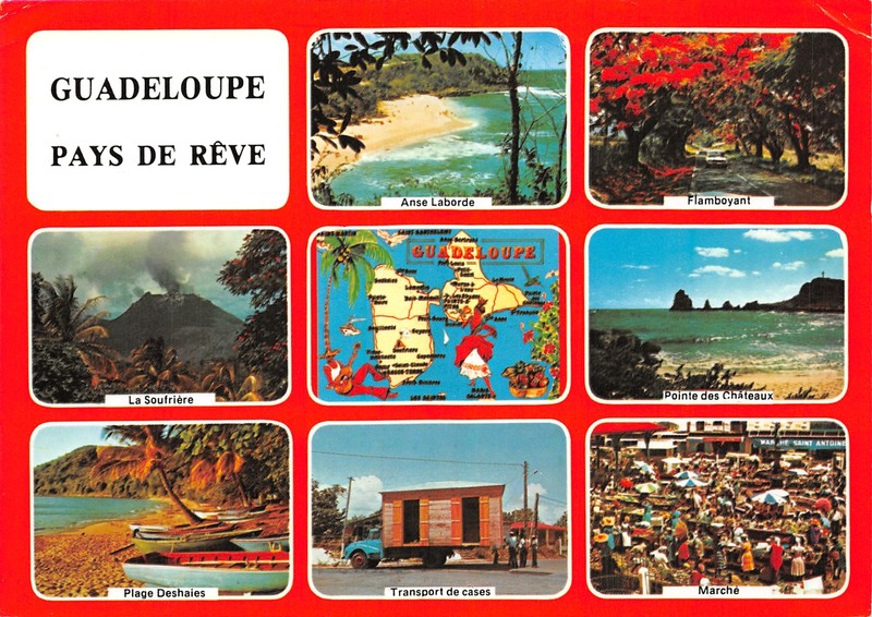 971-Guadeloupe-Nï¿½C4111-D/0355