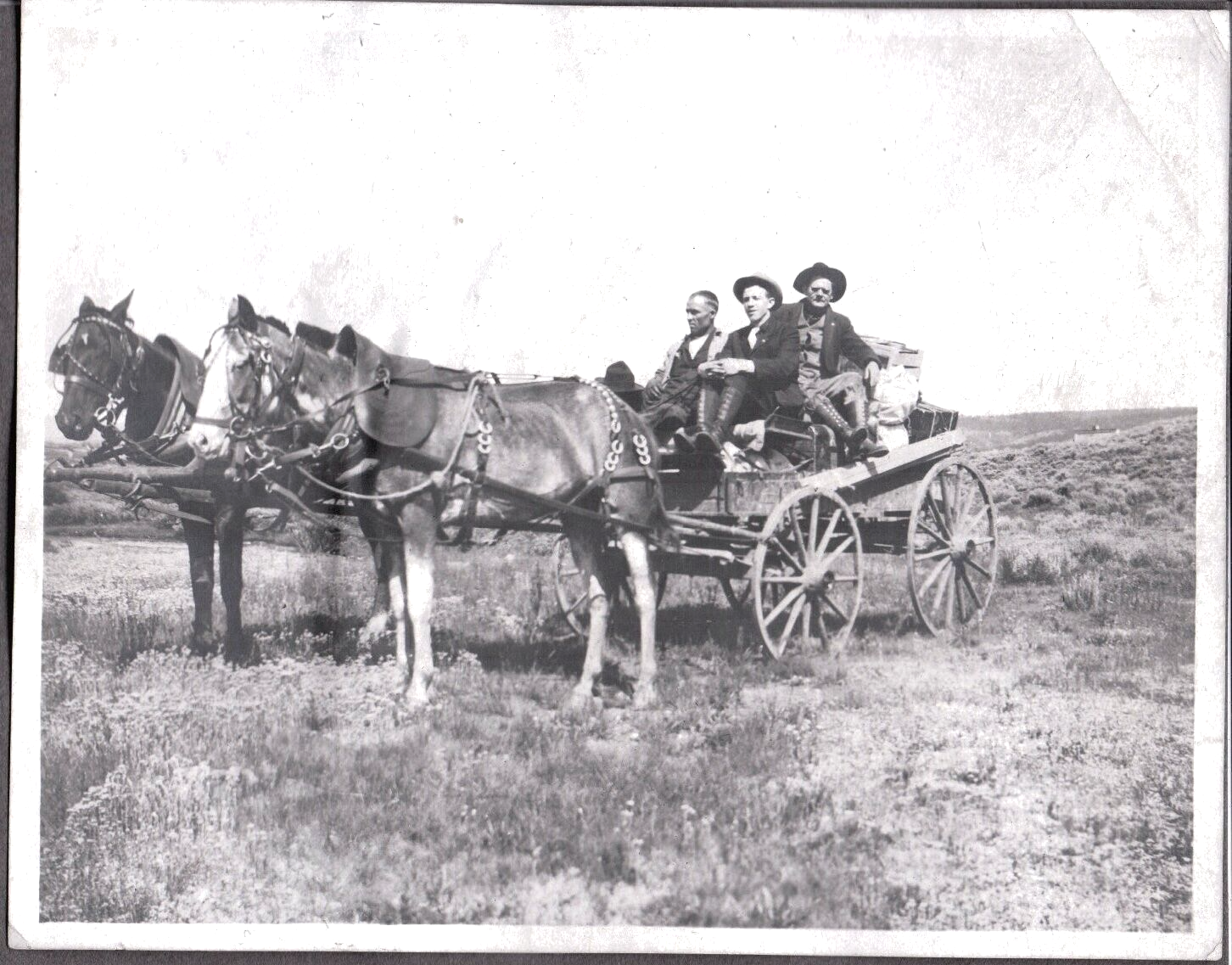 VINTAGE PHOTOGRAPH HORSES/WAGON MEN'S BOOTS/HATS FASHION COLORADO OLD PHOTO