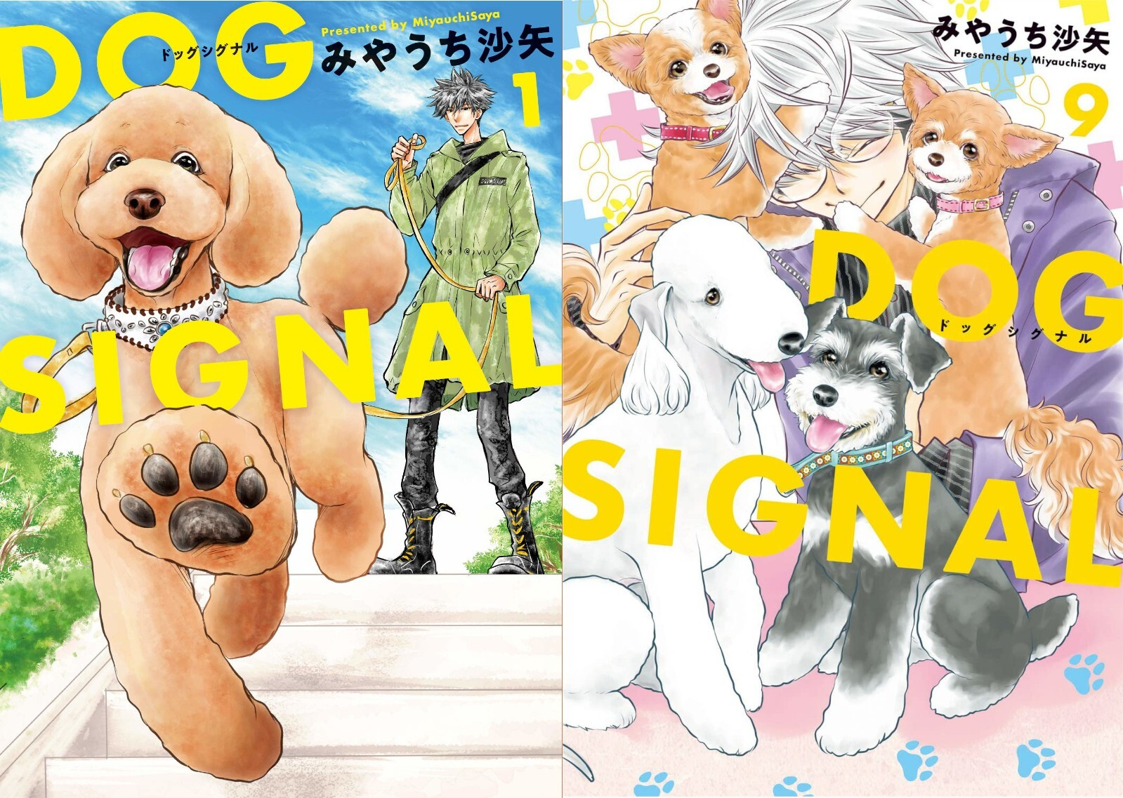 即決美品送料無料 DOG SIGNALドッグシグナル 第1巻〜第10巻 (最