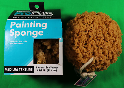 Painting Sponge - Armaly Medium Texture  - Plus Additional Foam Sea Sponge