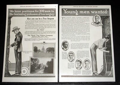 1916 OLD MAGAZINE PRINT AD, THE DAVEY TREE CARE EXPERTS, YOUNG MEN WANTED!