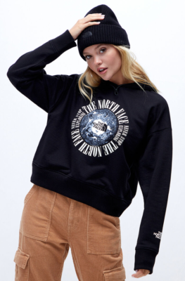 North face expedition hoodie hotsell