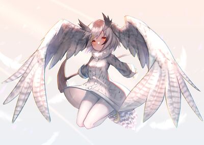 Anime kemono friends northern whitefaced owl girls Playmat Game Mat Desk