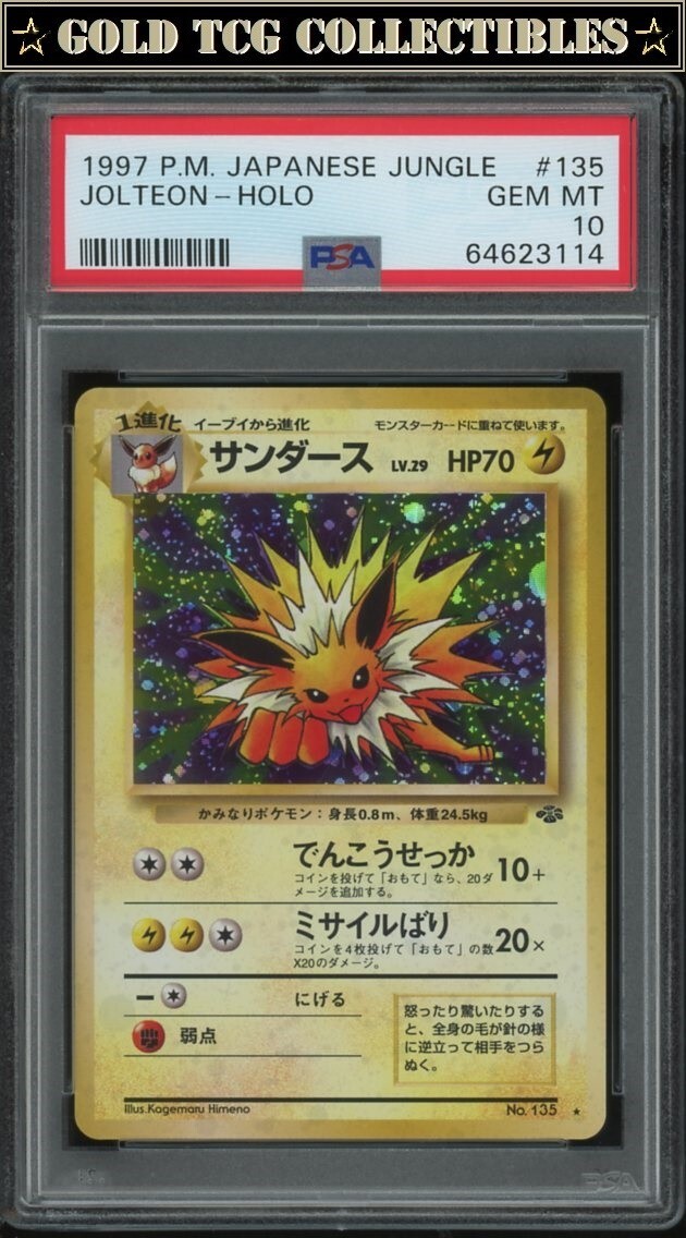 PSA10 ヨルノズク 十字&うずまき PSA10 ヨルノズク 十字&うずまき PSA10 ヨルノズク 十字