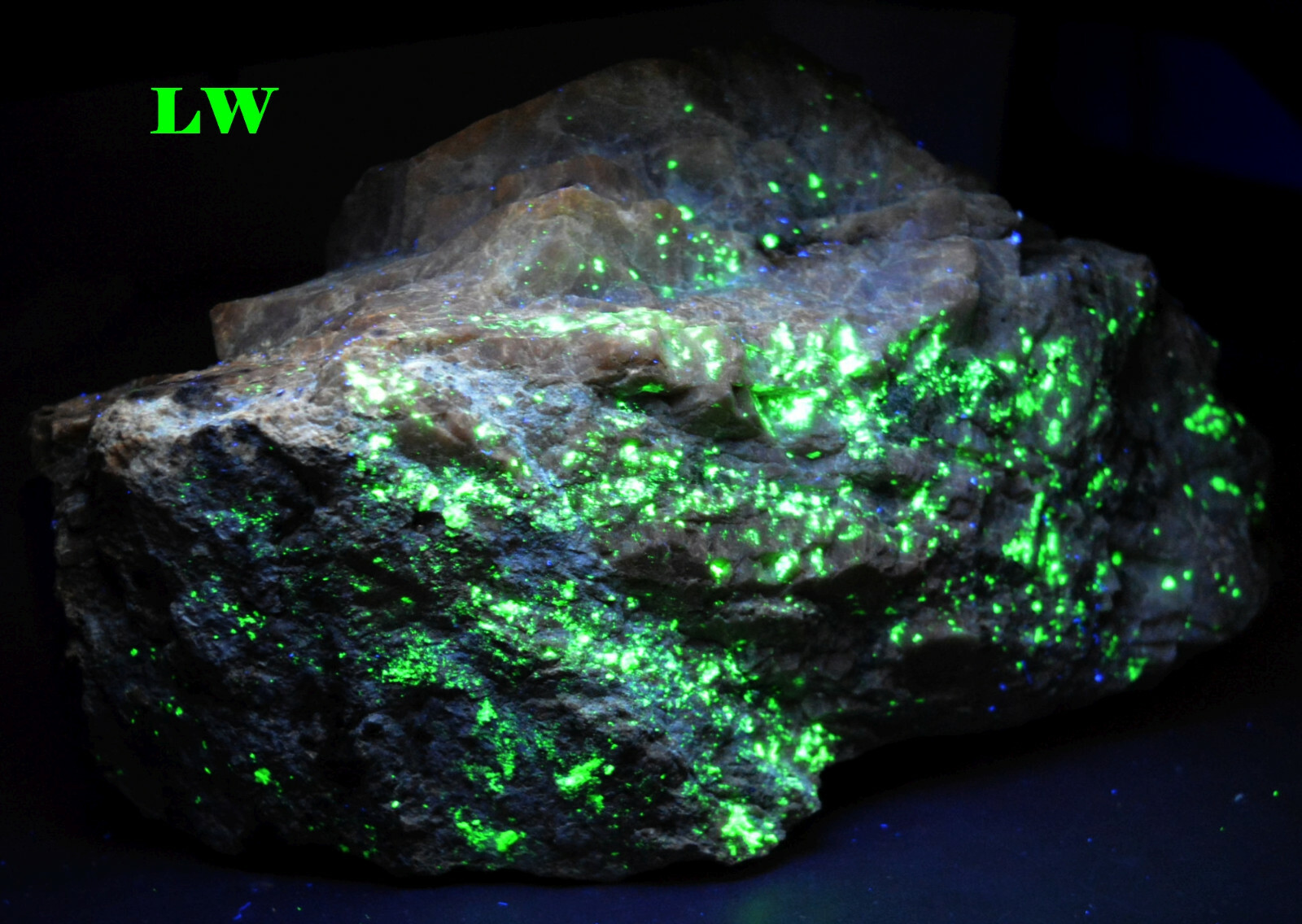 HUGE AUTUNITE Crystal Specimen w/ GARNET Matrix FLUORESCENT MINERAL NC