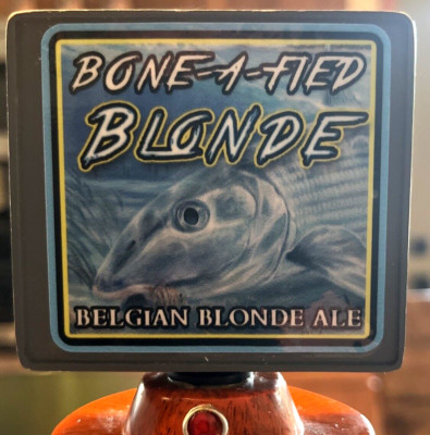 SALTWATER BREWERY Bone-A-Fied Blonde Belgian Blonde Ale Beer Tap Handle