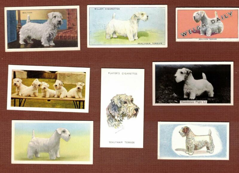 Sealyham Terrier dog trade cards set of 8