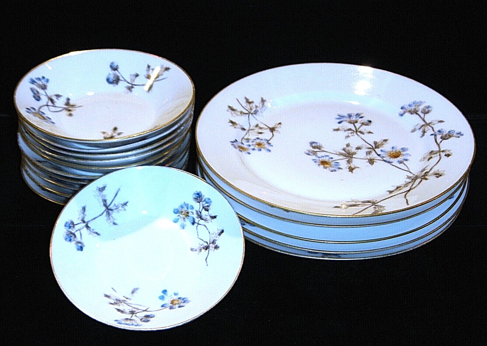 Antique Charles Field Haviland Limoges, France Schleiger