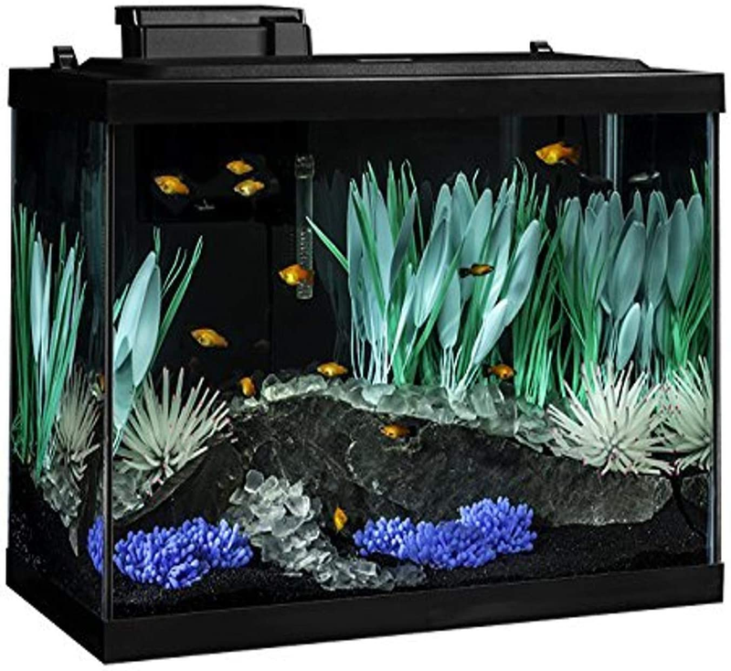 Tetra Colorfusion Aquarium 20 Gallon Fish Tank Kit, Includes