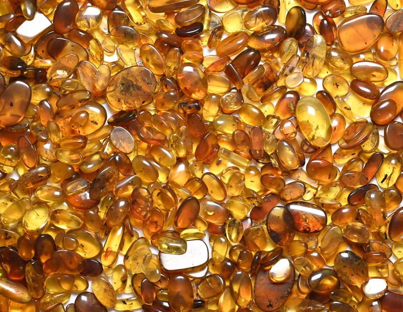 GENUINE Fossil Insect Inclusion in Burmese amber - Price per