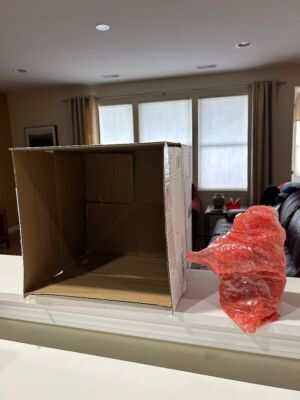 Item photo(s) from verified buyer