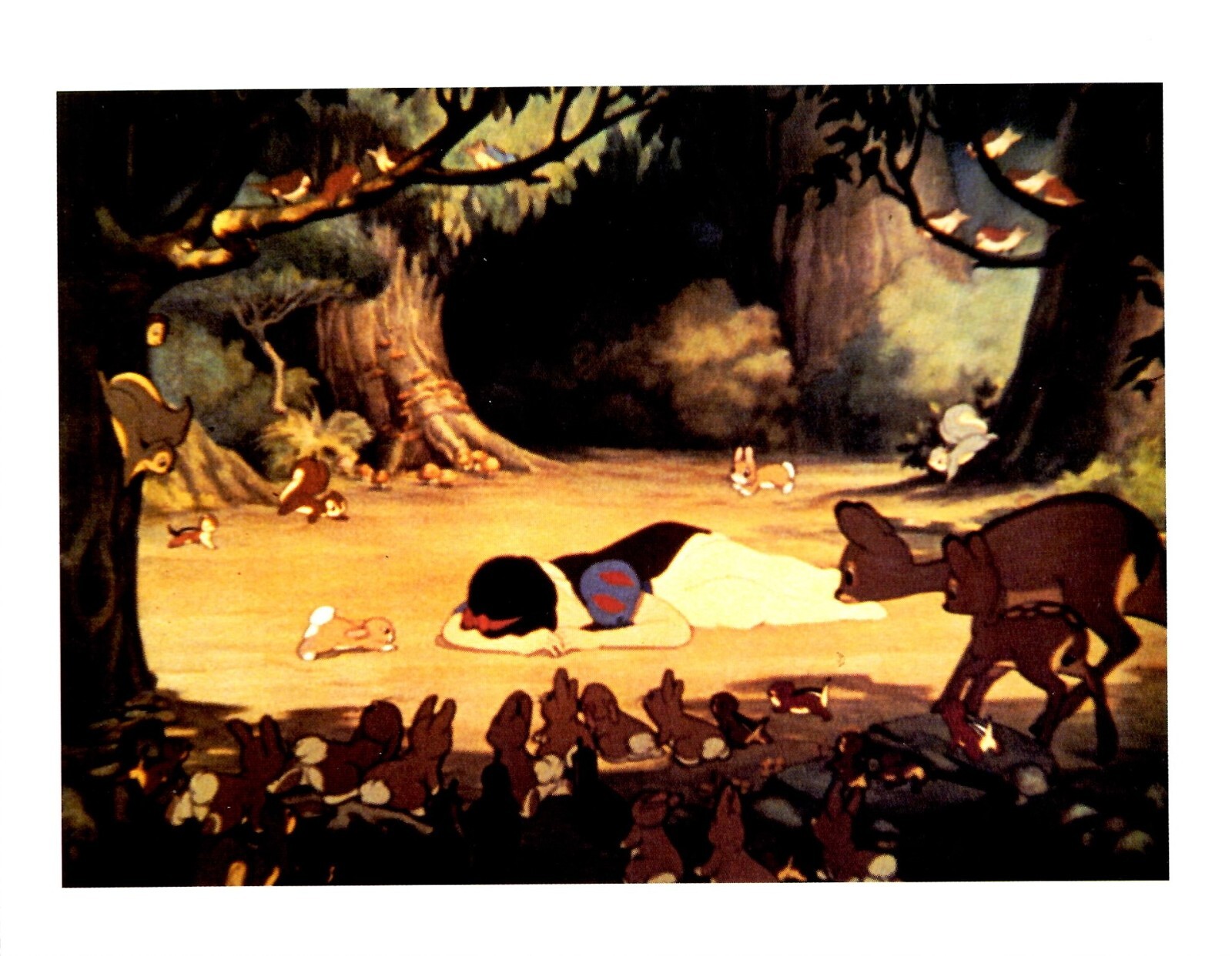 Faces in the forest 森の仲間たち : postcard b… Faces in the forest 森の仲間たち : postcard b… Faces in the