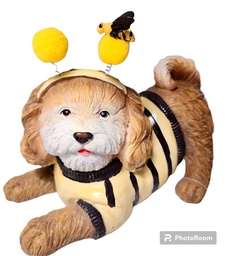 Humane Society Golden Doodle Shizu Puppy Dog In Spring