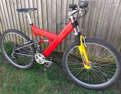 Raleigh Mountain Bike - Retro