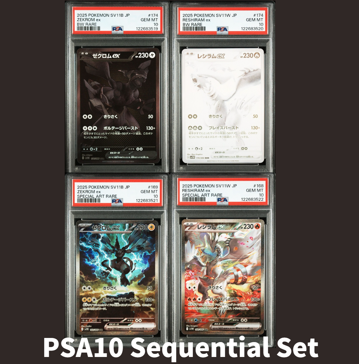 PSA10 ゼクロム ex BWR SAR zekrom PSA 10 Pokemon Card Zekrom ex SAR 169/086 sv11B Black Bolt