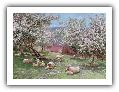 William Biscombe Gardner : ''Appleblossom''   Giclee Fine Art Print