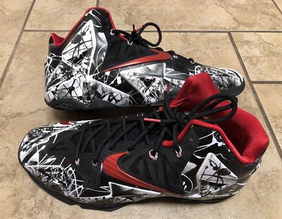 lebron james shoes size 14