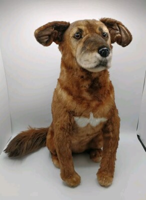Cuddle Clones Realistic Senior Mixed Breed Dog 20'' Large Lifelike   Kandy  Plush
