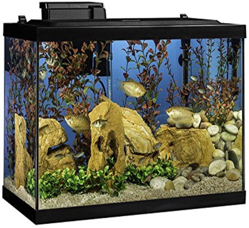 Tetra NV33821 Aquarium 20 Gallon Fish Tank Kit, Includes LED Lighting & Decor