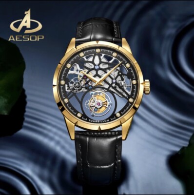 Aesop Luxury Tourbillon 3D Skeleton Dial Mechanical Watch Limited Edition Gold