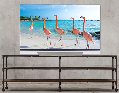 LG OLED55E8P 55