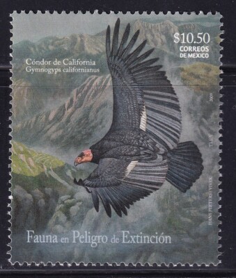 mai14 Mexico 2009 fauna in extinction Sc#2622 Mc#3502 condor california