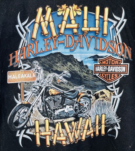 Harley-Davidson Maui ロンT TIKIGUYLS-JPG__04099.