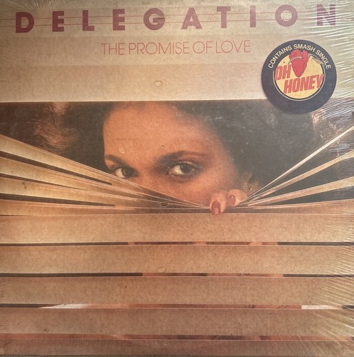 DELEGATION-The Promise Of Love LP | eBay