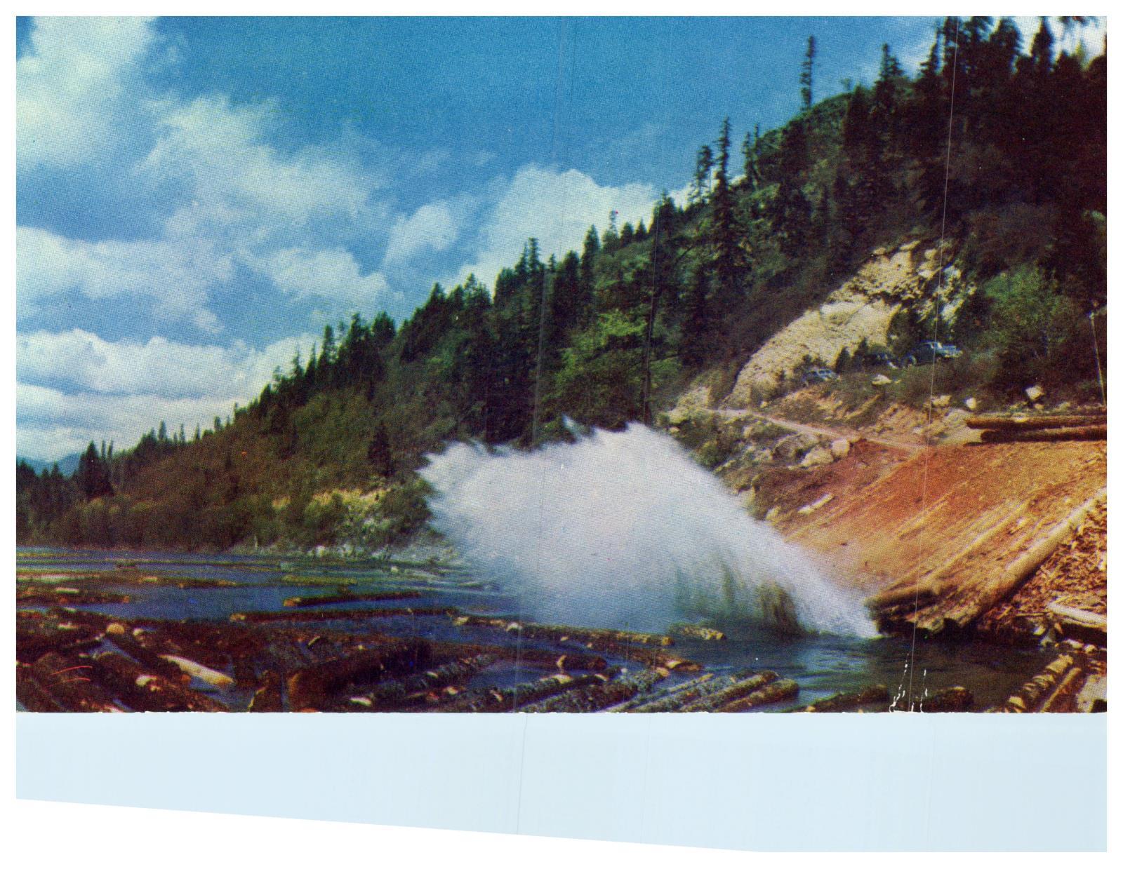 Log Pond Vintage Postcard Unknown Location Kodachrome