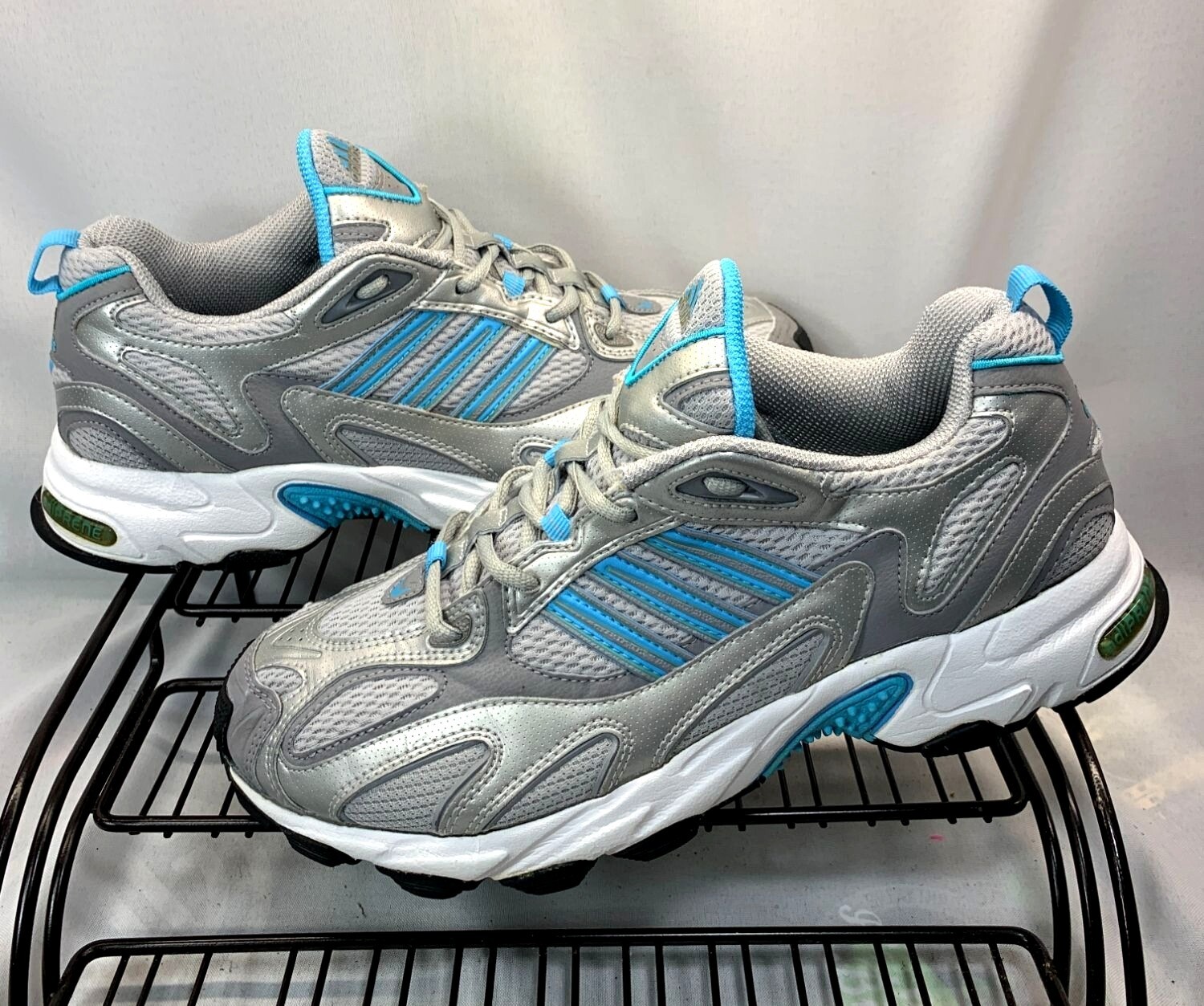 エレボス $_57.JPG?set_id=8800005007