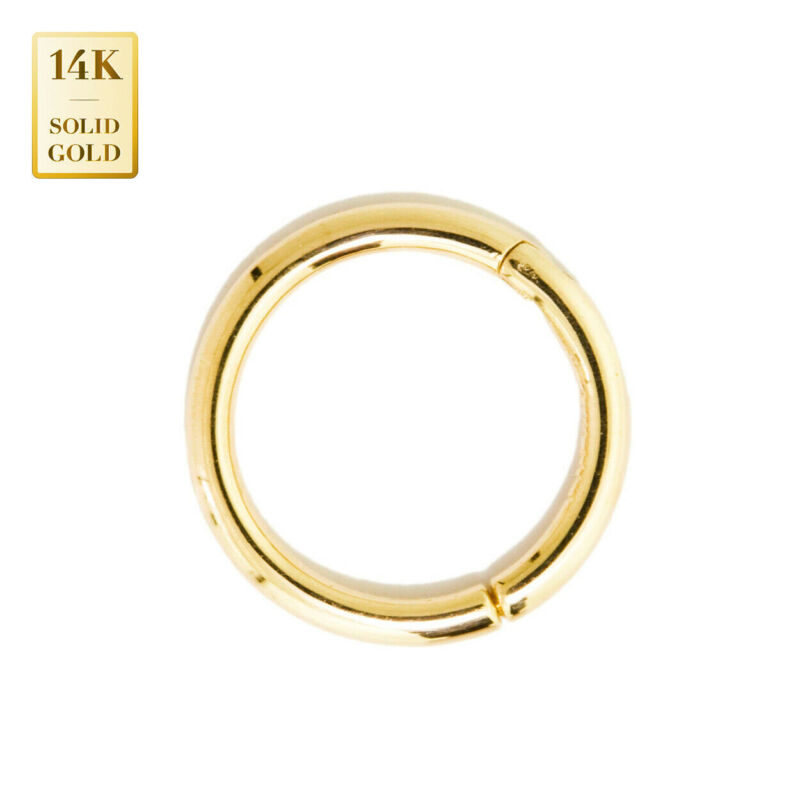 20g Gauge 14k Real Solid Gold Hinged Segment Septum Daith Hoop Nose Ring Earring